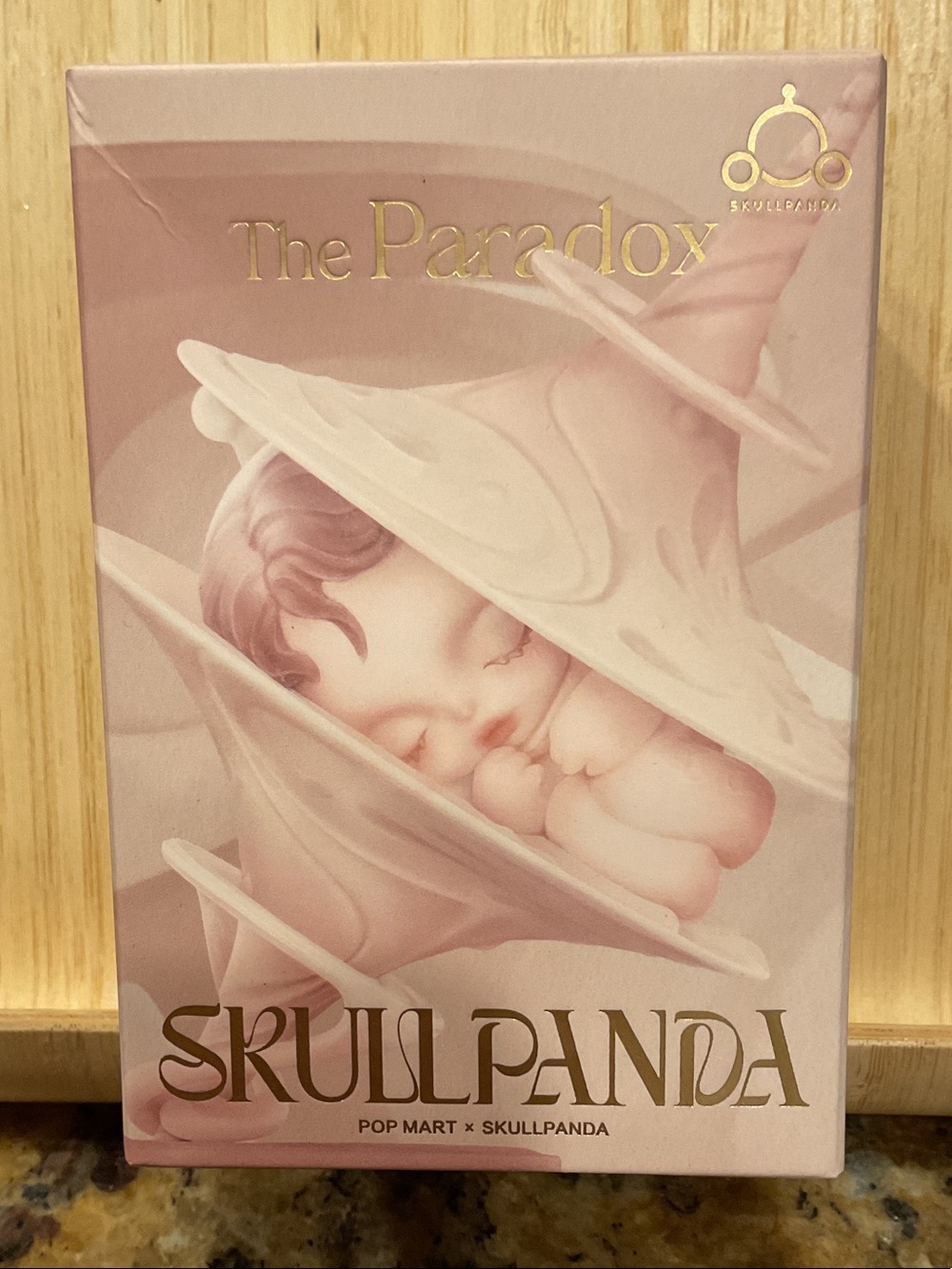 Skullpanda The Paradox Blind Box NIB